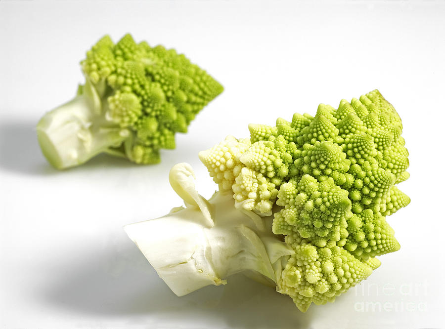 Romanesco Broccoli Or Cauliflower #1 Photograph by Gerard Lacz