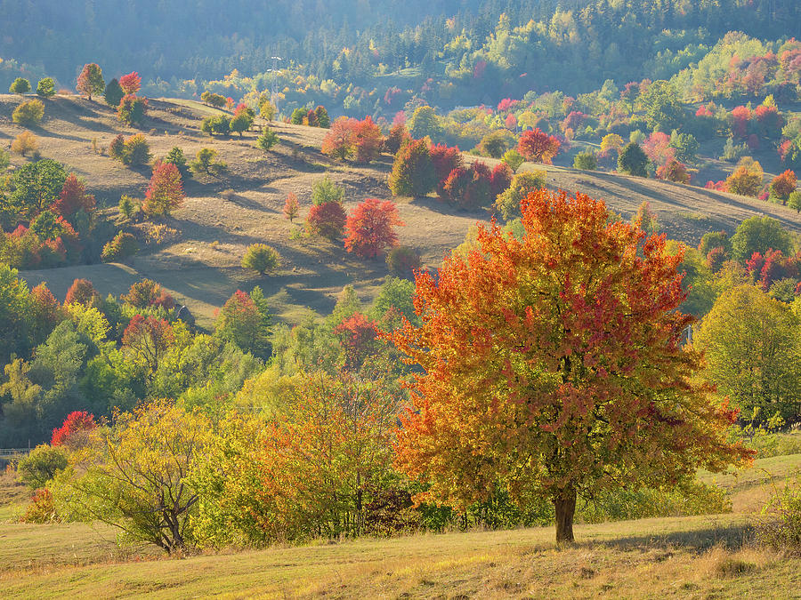 Romanian Landscape Photograph by Dan Leffel - Fine Art America