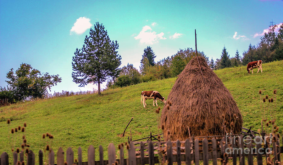 Romanian rural landscape #2 Photograph by Claudia M Photography