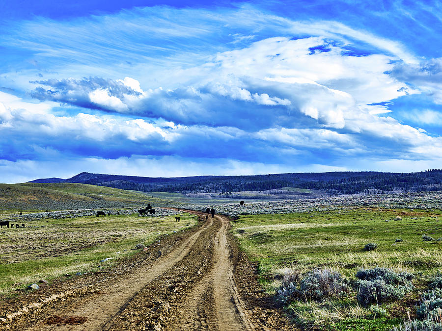 Room To Roam - Wyoming #1 Photograph by Mountain Dreams