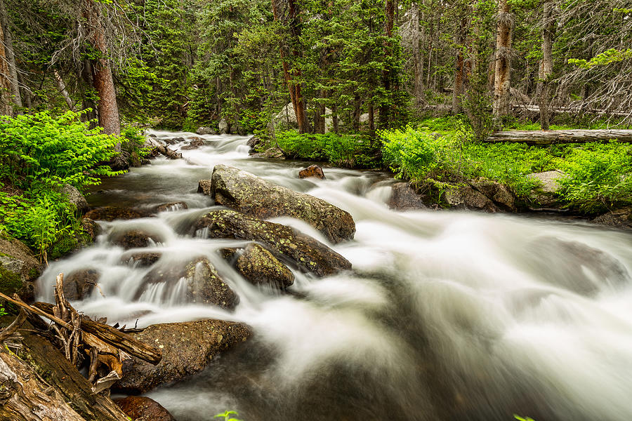 Roosevelt National Forest Stream Photograph