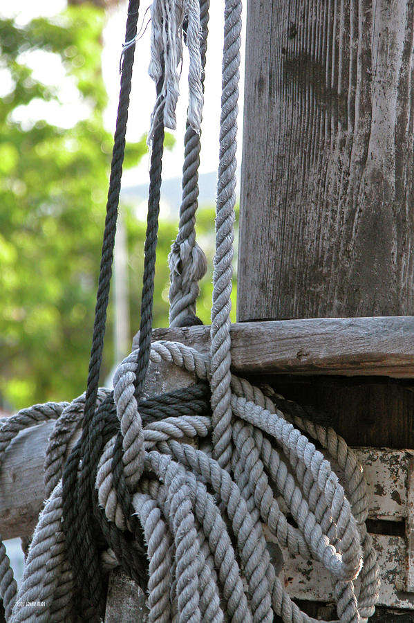 Rope and Mast #1 Photograph by Frank Mari