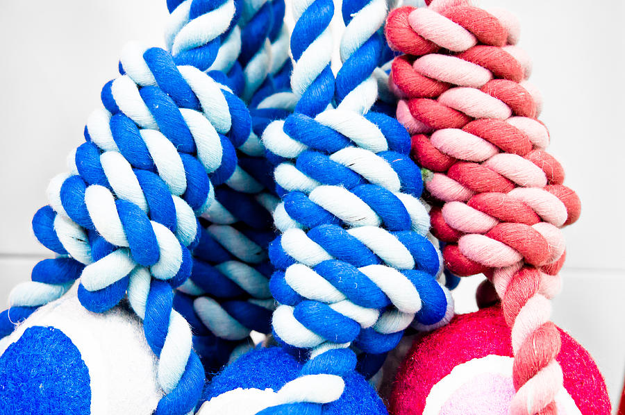 Abstract Photograph - Rope toys #1 by Tom Gowanlock