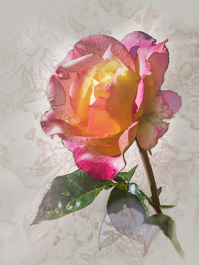 Rosa, Glowing Peace #1 Digital Art by Mark Mille