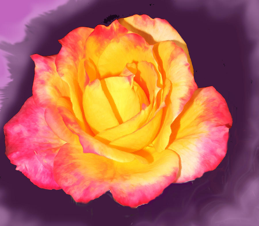 Rose Explosion #1 Digital Art by Ian  MacDonald
