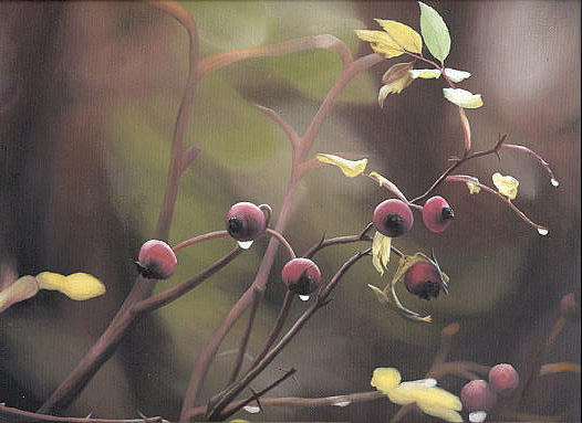 Close Up Painting - Rose Hips by Peter Winberg Close Up Painting - Rose Hips by Peter Winberg