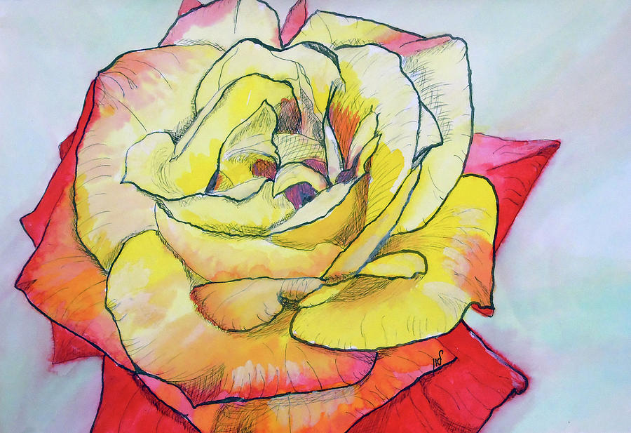 Rose Drawing by Maria Woithofer - Fine Art America