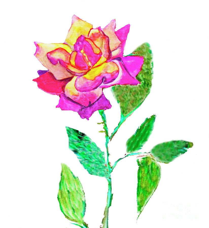 Rose, watercolor painting #3 Painting by Irina Afonskaya