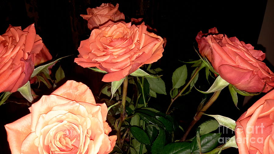 Rose Photograph - Roses for Holiday by Oksana Semenchenko