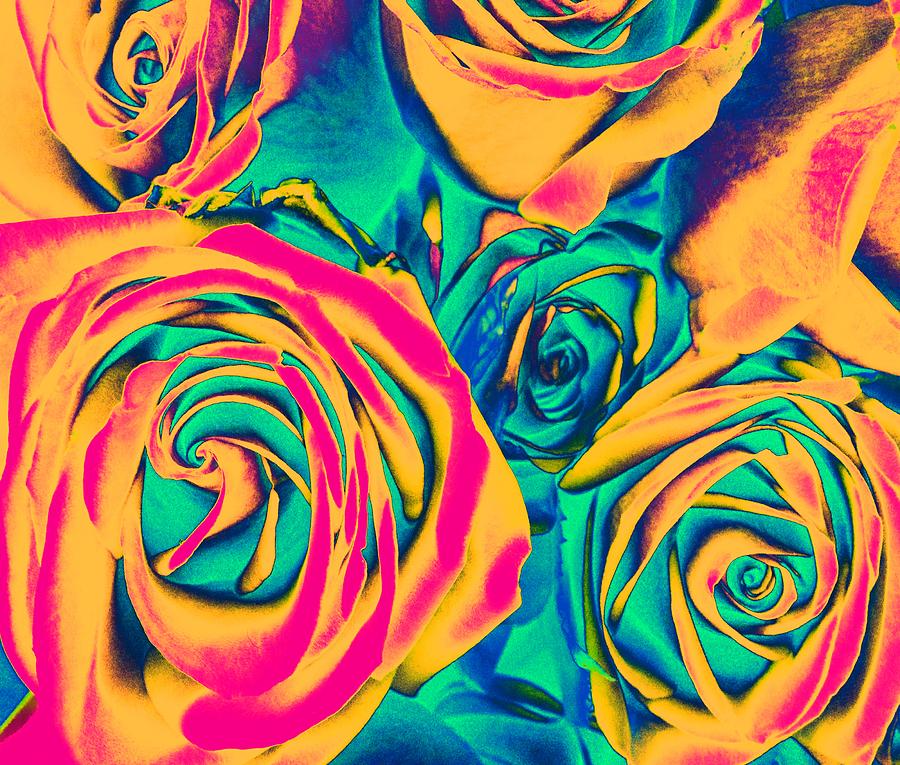 Roses - POP Art #1 Photograph by Marianna Mills