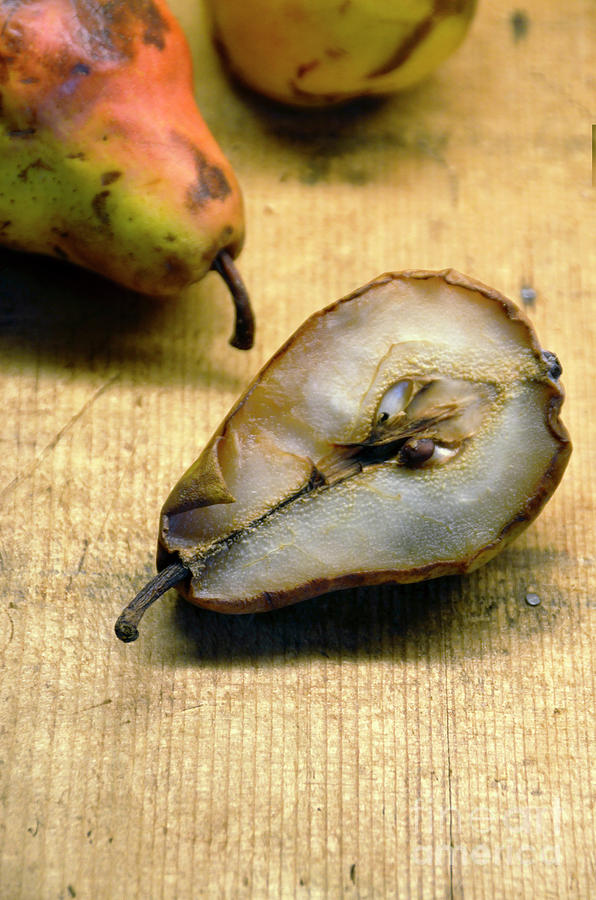 Rotting Pears #1 Photograph by Jill Battaglia