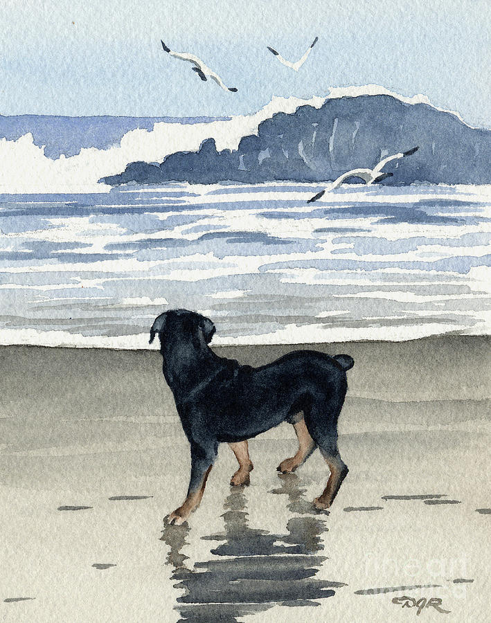 Rottweiler Painting - Rottweiler at the Beach  #2 by David Rogers