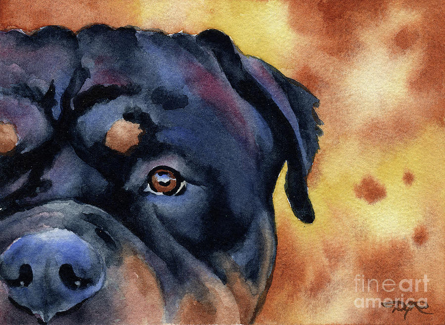 Rottweiler Painting - Rottweiler #4 by David Rogers