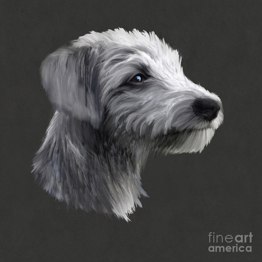 Dog Digital Art - Rough Coated Lurcher  #1 by John Edwards