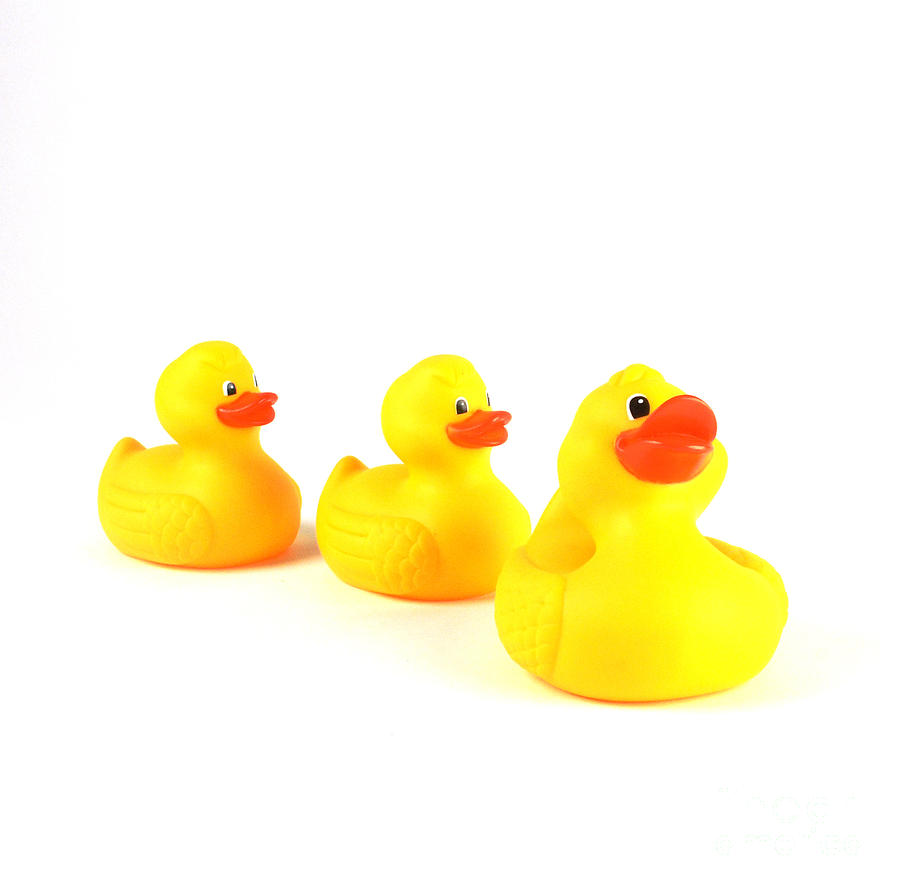 Rubber Ducks #1 Photograph by Photo Researchers, Inc.