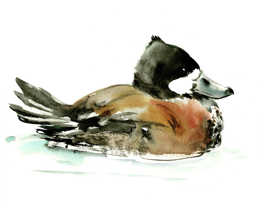 Ruddy Duck #1 Painting by Suren Nersisyan
