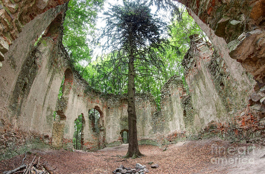 Ruins of the Baroque chapel of Saint Mary Magdalene #1 Photograph by Michal Boubin