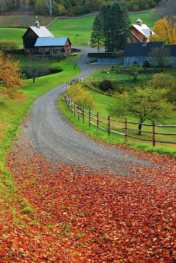 Rural autumn #1 Photograph by James Kirkikis