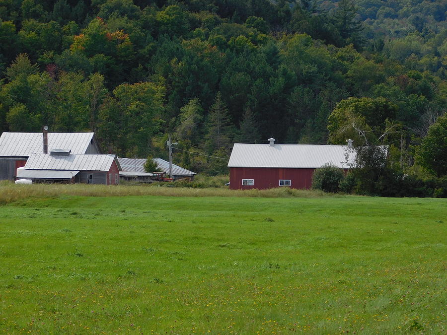 Rural Vermont #1 Photograph by Catherine Gagne