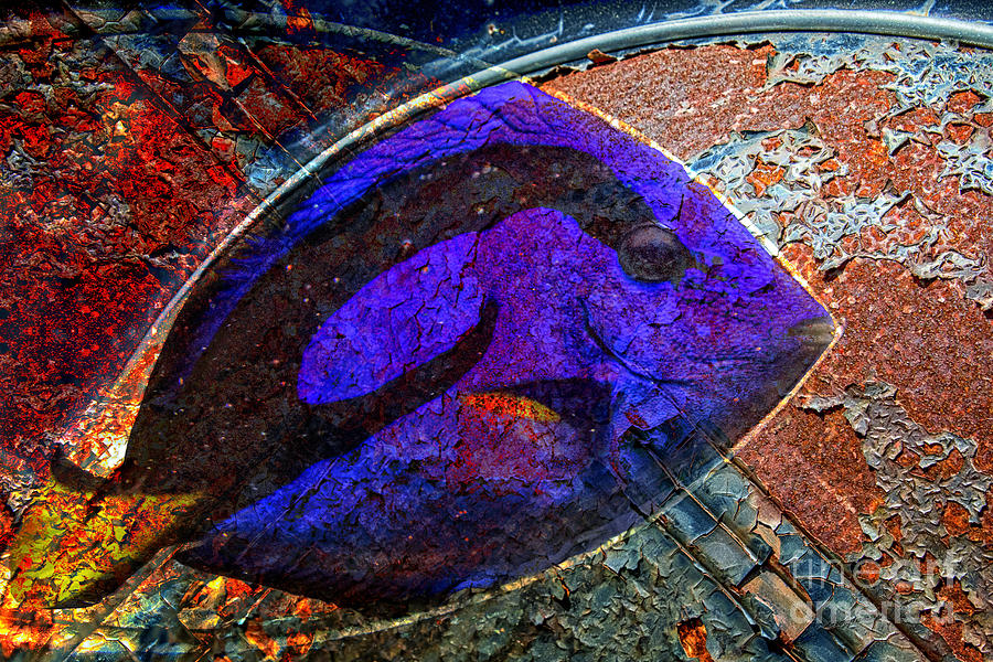 Rusted Fish #1 Digital Art by Georgianne Giese