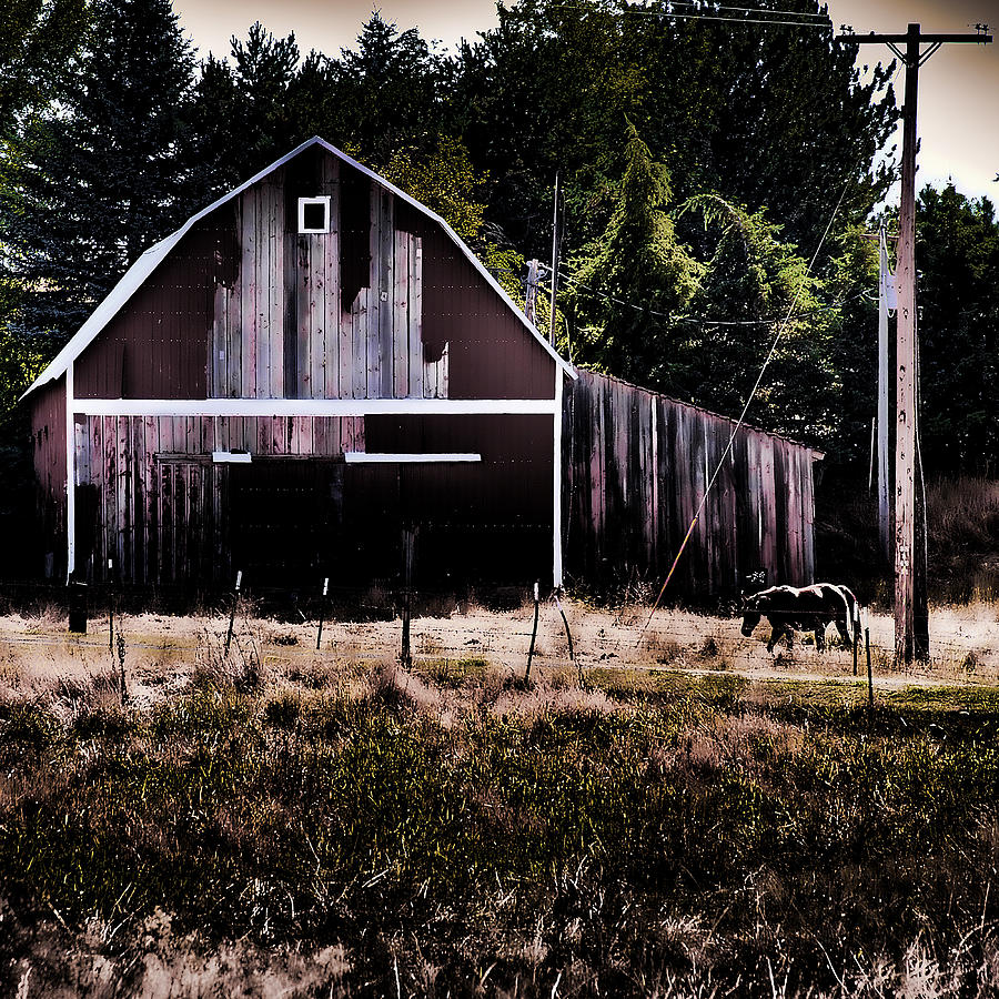 Rustic Barn #1 Photograph by David Patterson