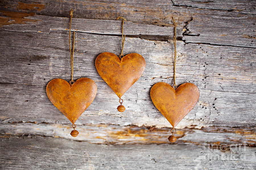 Rustic hearts #1 Photograph by Kati Finell