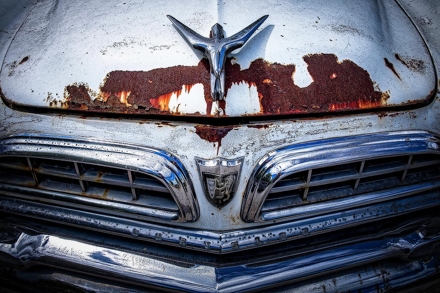 Rusty #1 Photograph by Jerry Golab