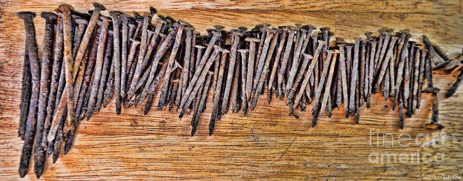 Rusty Nails #1 Photograph by Debbie Portwood