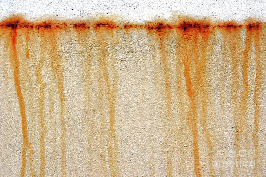 Rusty water marks #1 Photograph by Tom Gowanlock