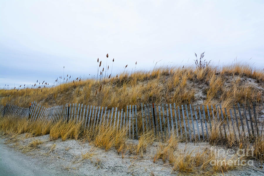 Sachuest Beach 3 Photograph by Lisa Kilby