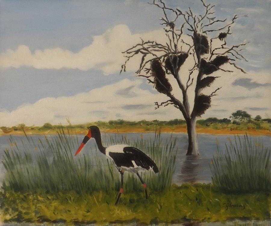 Saddlebilled Stork Painting by Tony Gunning - Fine Art America