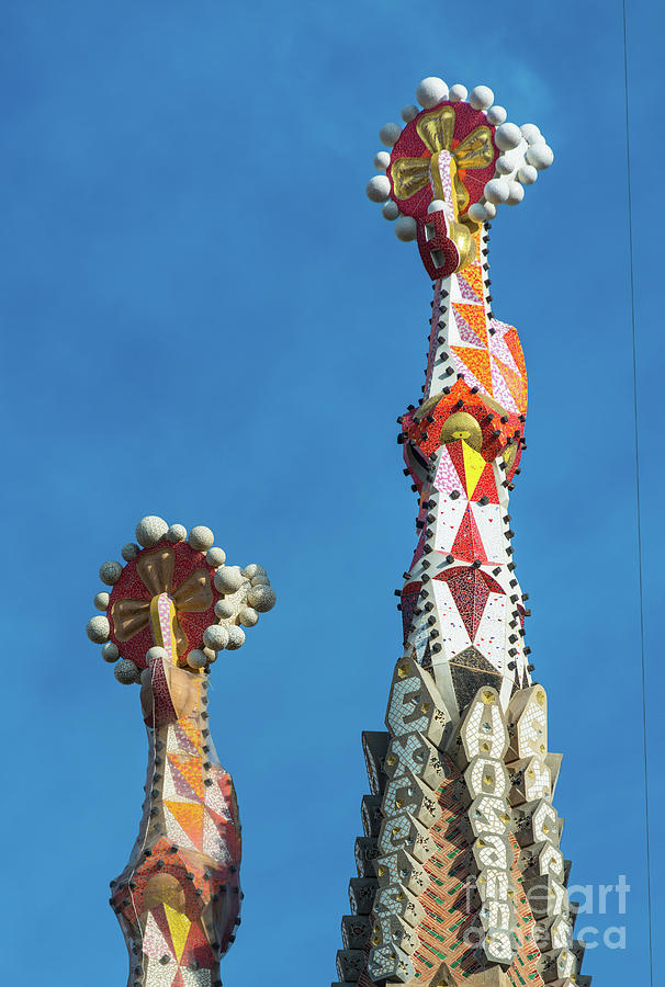 Sagrada Familia #1 Photograph by Andrew Michael