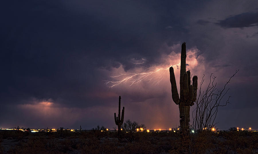 Saguaro Lightning  #2 Photograph by Saija Lehtonen