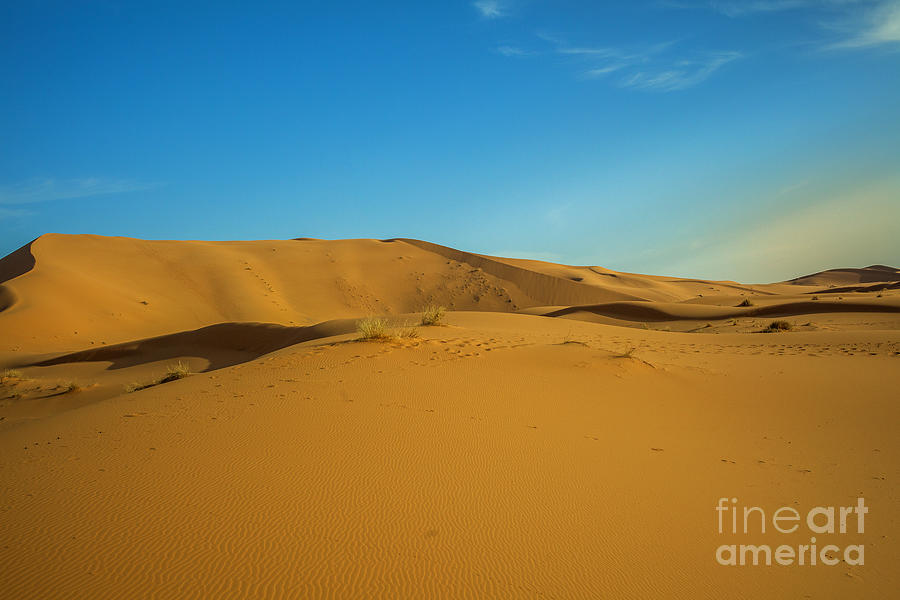 Sahara Morocco Photograph by Patricia Hofmeester