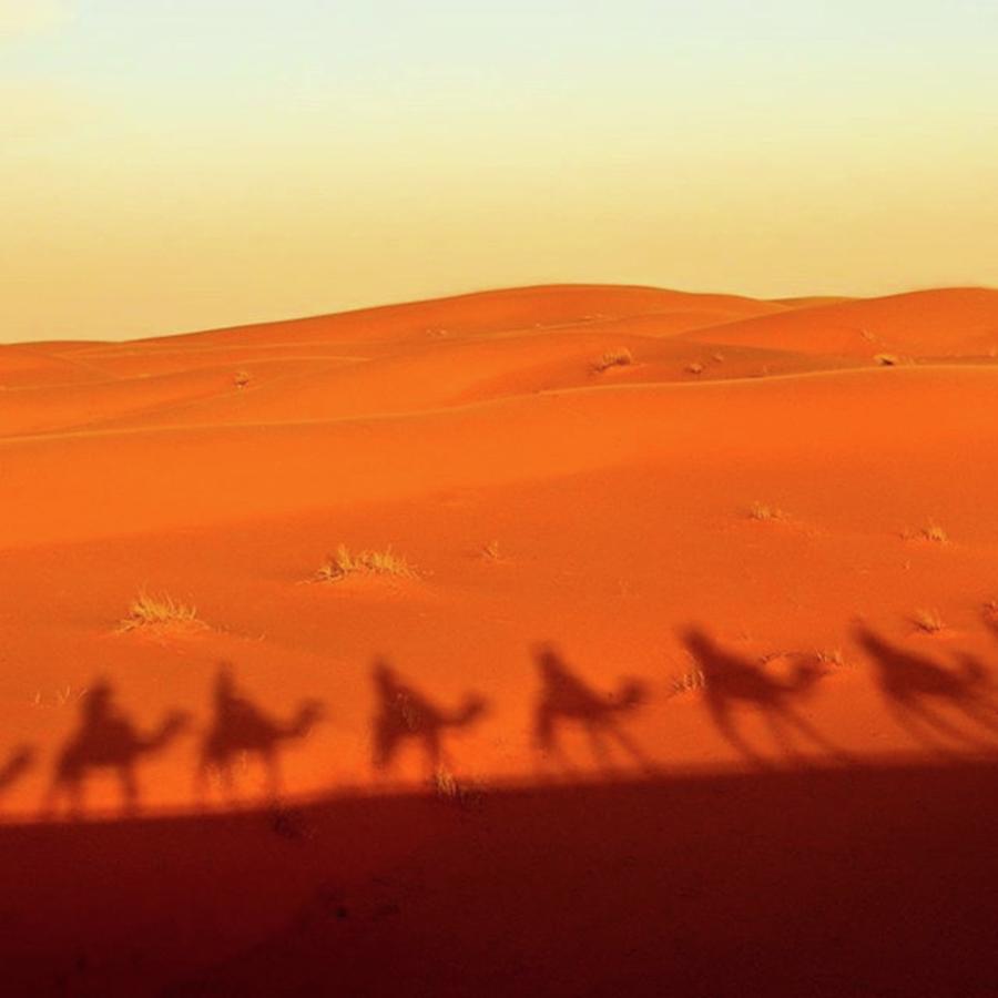 Sahara Photograph - Sahara(morocco) #africa #morocco #1 by Seiji Hori