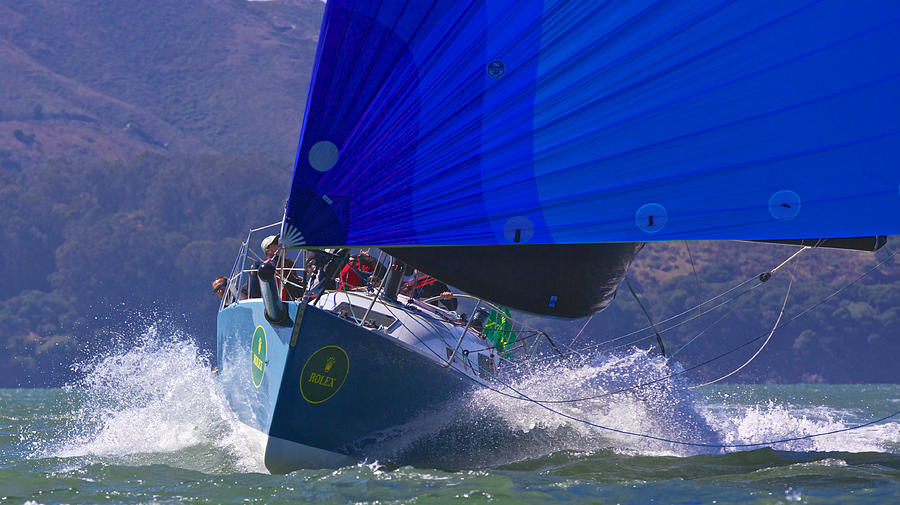 Sail Hamachi #1 Photograph by Steven Lapkin