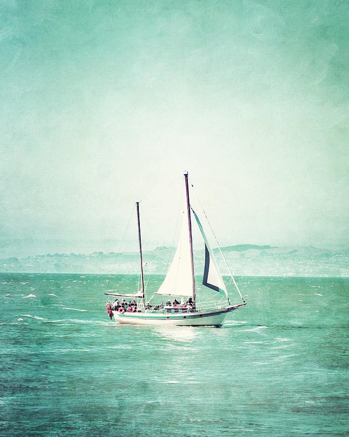 Sailboat In San Francisco Bay Photograph