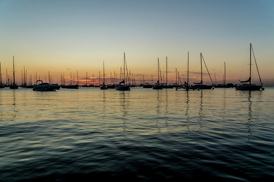 Sailboats at sunrise  #1 Photograph by Sven Brogren