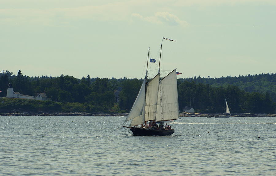 Sailing #1 Photograph by Lois Lepisto