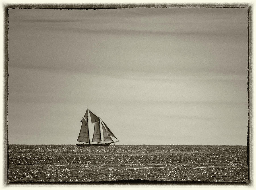 Sailing #1 Photograph by Roni Chastain