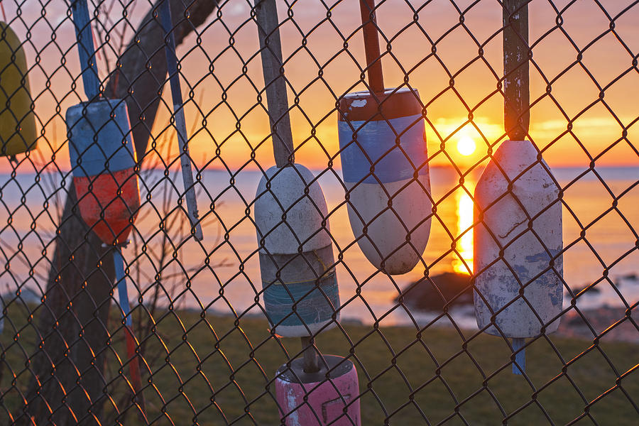 Salem Willows Sunrise Buoys on the Fence 2 #2 Photograph by Toby McGuire