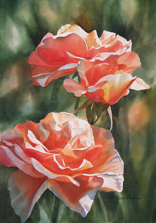 Salmon Colored Roses #1 Painting by Sharon Freeman