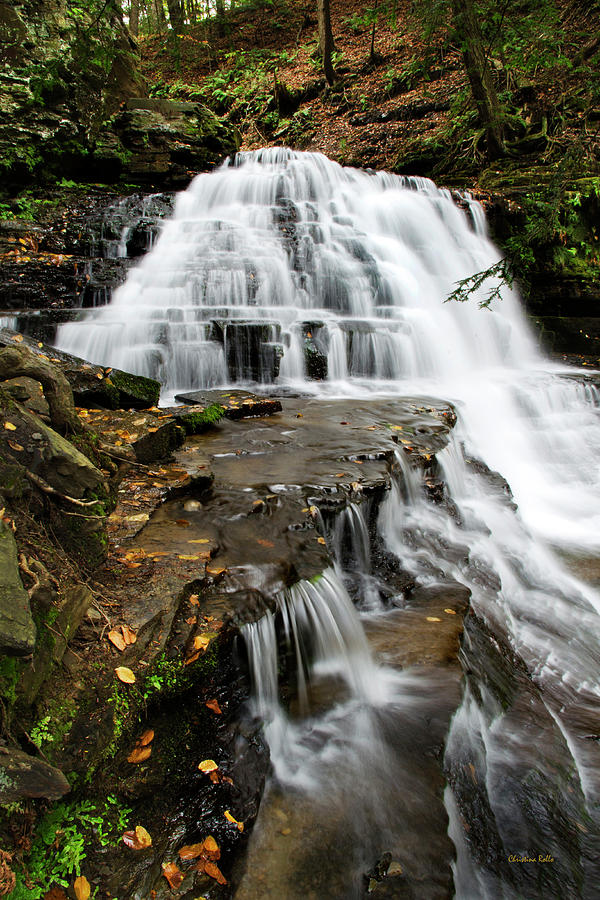 Salt Springs Waterfall Photograph By Christina Rollo