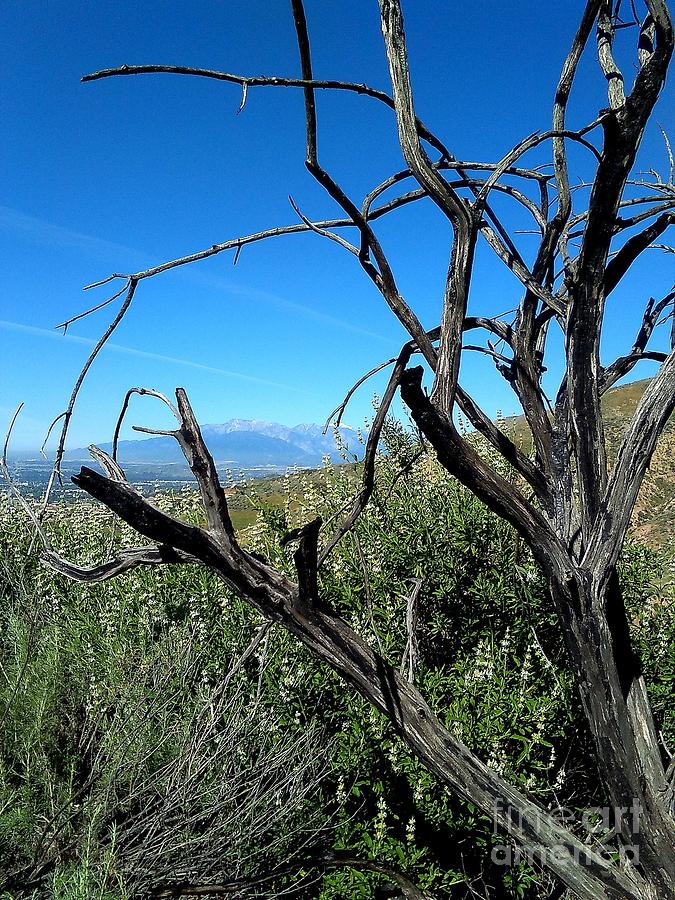 San Bernardino California Mountain View Photograph