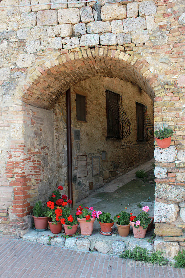 San Gimignano flowers in Archway #2 Photograph by Adam Long