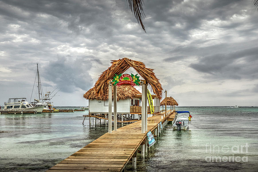 San Pedro Belize C.A. 17 #1 Photograph by David Zanzinger