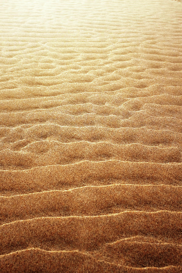 Sand Background #1 Photograph by Carlos Caetano