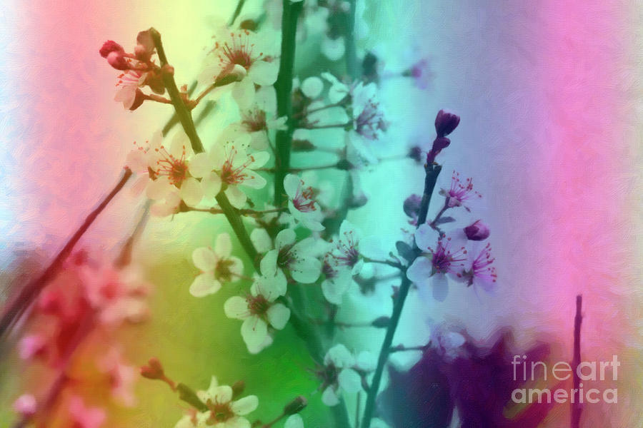 Sand Cherry Blossoms #4 Digital Art by Donna L Munro