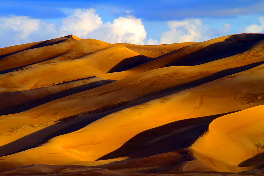 Nature Photograph - Sand Dune Curves by Scott Mahon