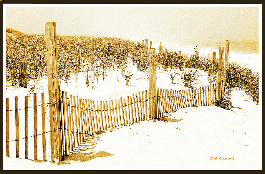 Sand Dune Fence, New Jersey Coast Digital Art by A Macarthur Gurmankin